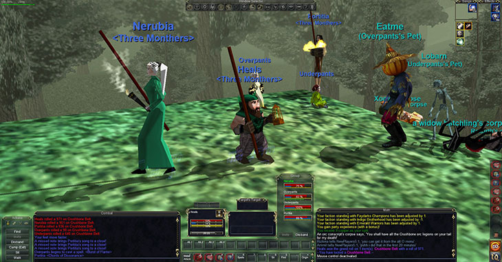 A screenshot from Everquest, with multiple player avatars standing on a hill. 