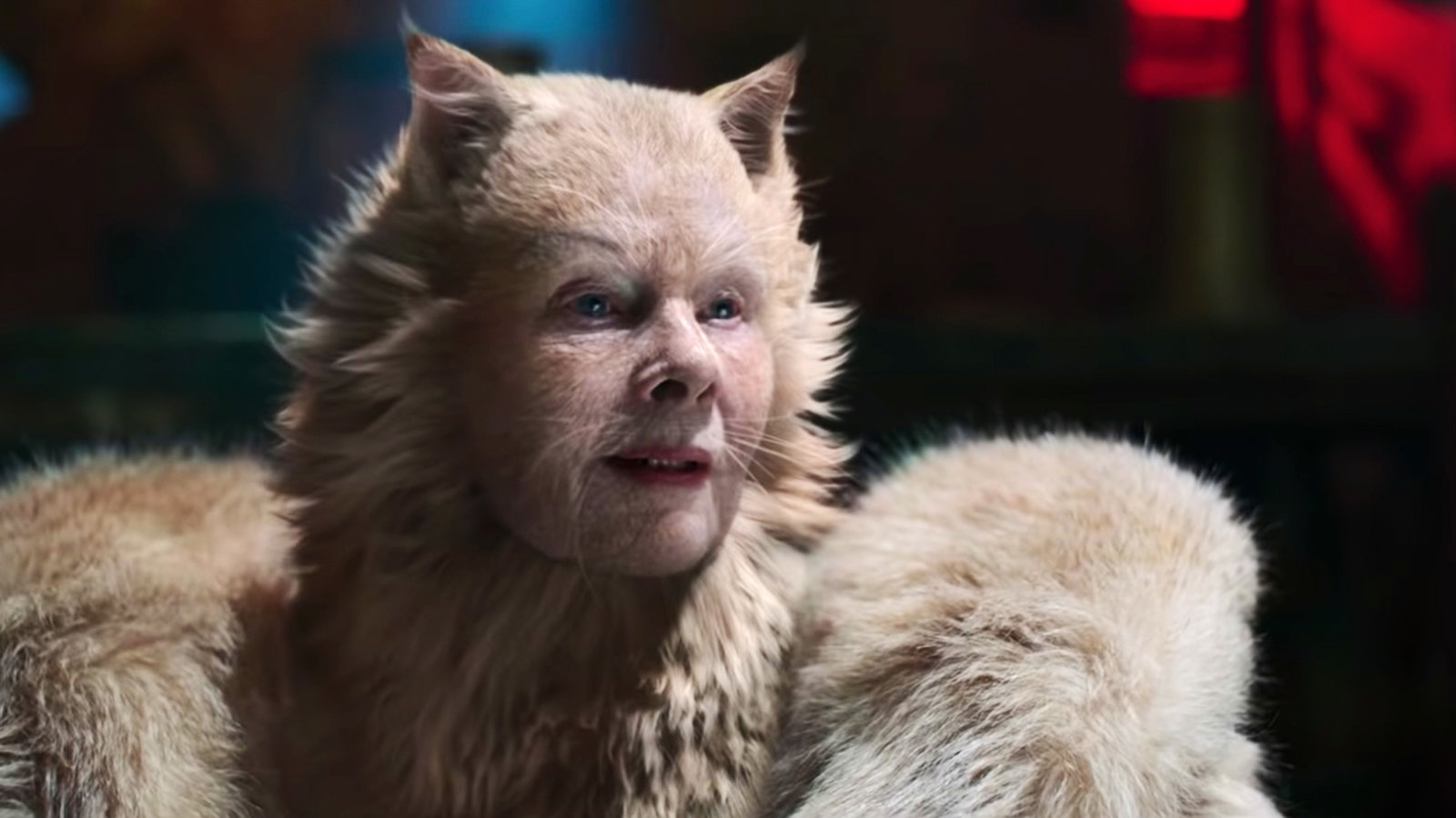 A shot of Deuteronomy, a cream-colored cat/human hybrid played by Judy Dench.