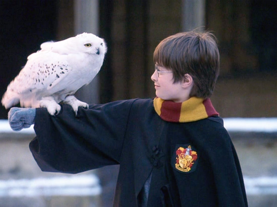 Image of Harry Potter at the train station pushing a cart of packages and his owl in a cage. 