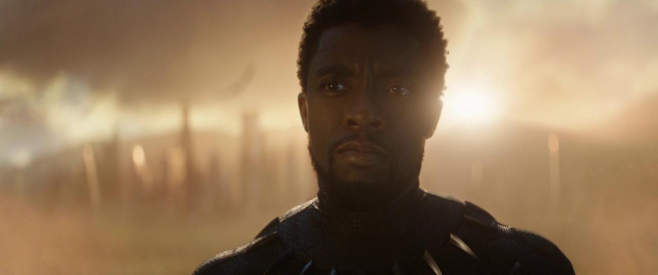 Chadwick Boseman cameos as Black Panther in Avengers: Endgame (2019).