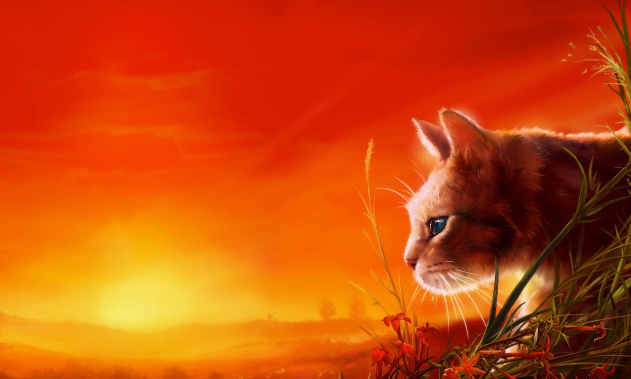 Ivypool gazes reflectively as the sun sets in the background in official art from warriorscats.com