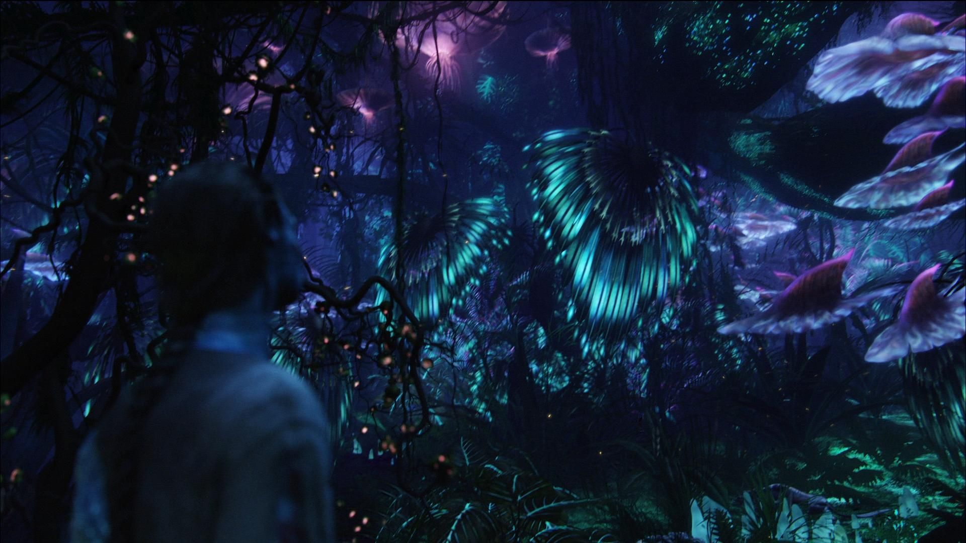 A still of Jake Sully (in Avatar form) looking into the jungle-esque forest that covers much of Pandora from James Cameron's adventurous sci-fi film 'Avatar,' 2009.