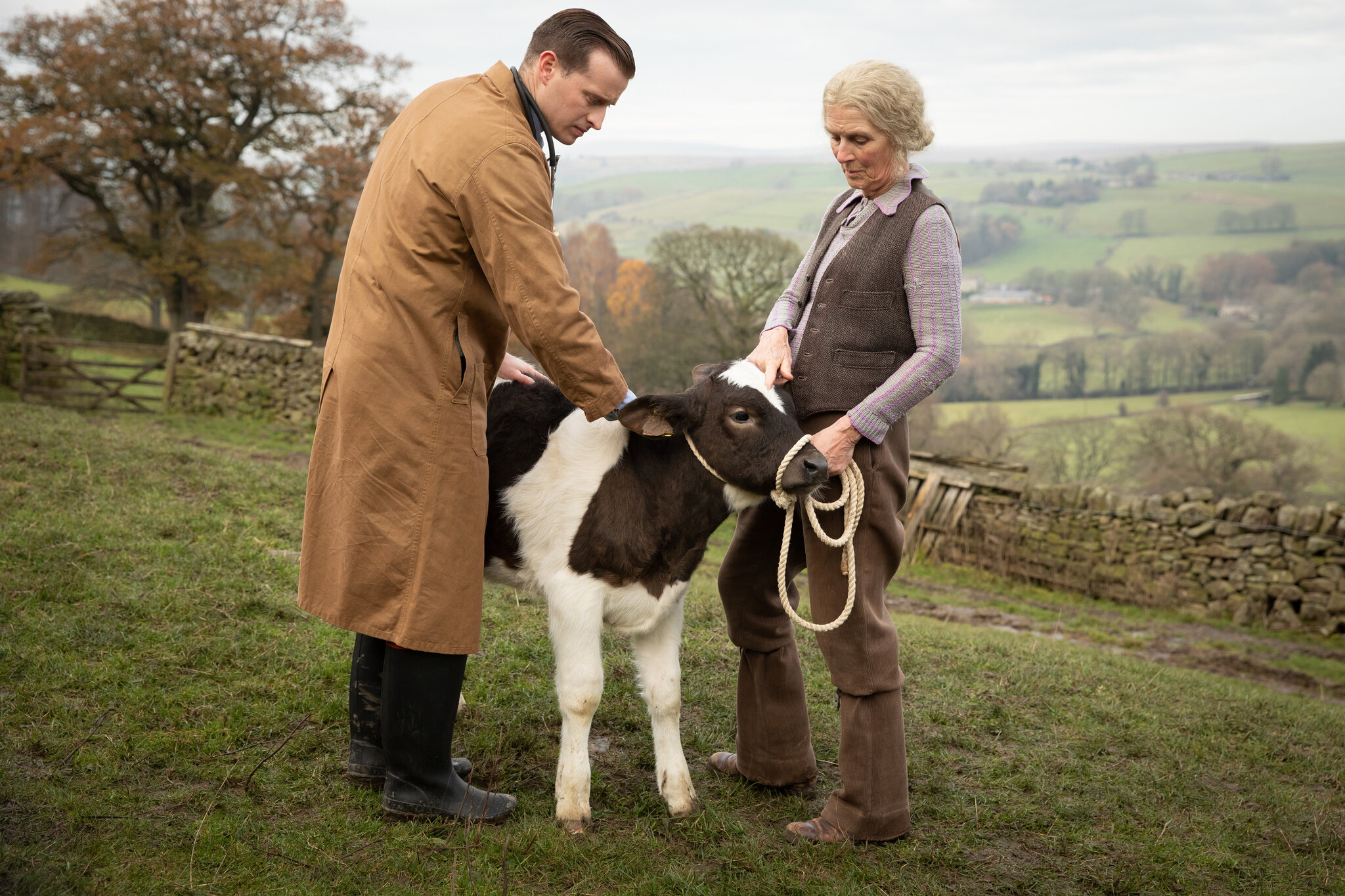 Herriot and a farmer care for a calf in a shot from All Creatures Great and Small, 2020. (Photo by Playground Entertainment/PBS).