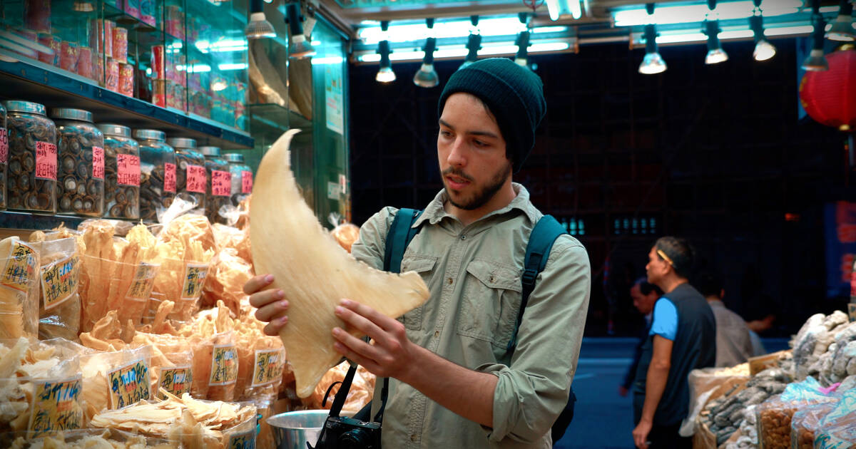 Kip Andersen holds up a shark fin, to showcase how shark's are being killed illegally for their fins. This photo was taken by a secret camera and put in the documentary. 