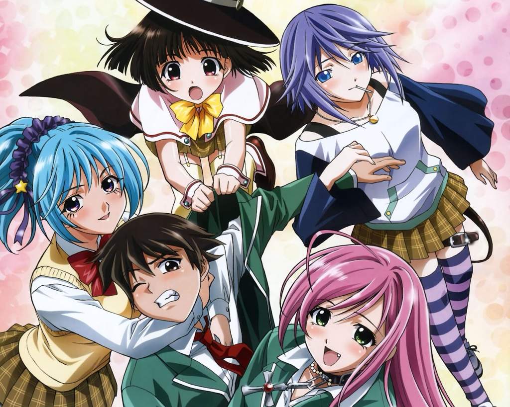 Rosario + Vampire. Akihisa Ikeda. 2008. Pictured are the girls surrounding the main male character. 