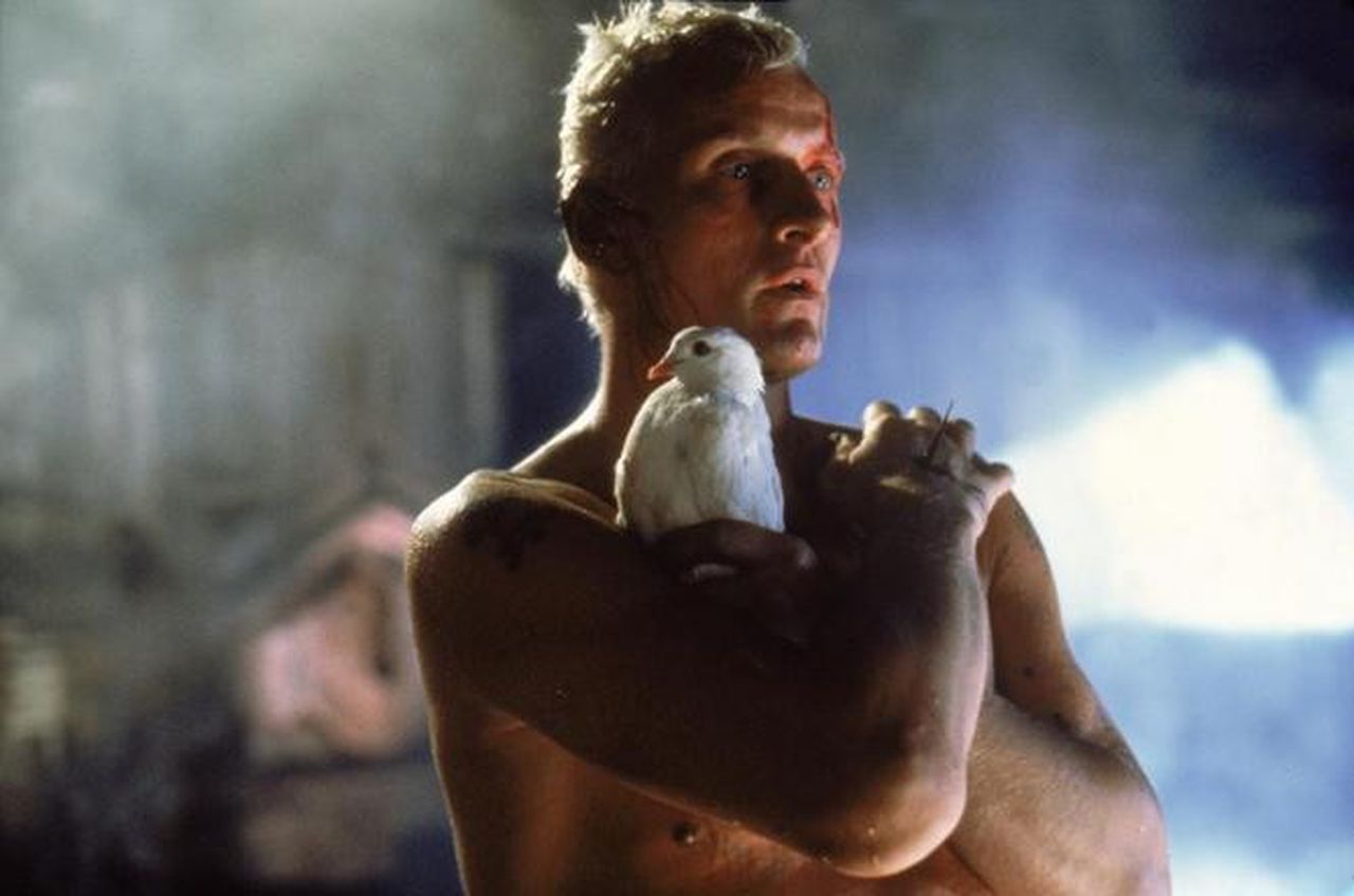 Roy Batty stands with a nail in through his hand holding a white dove in Blade Runner (1982).