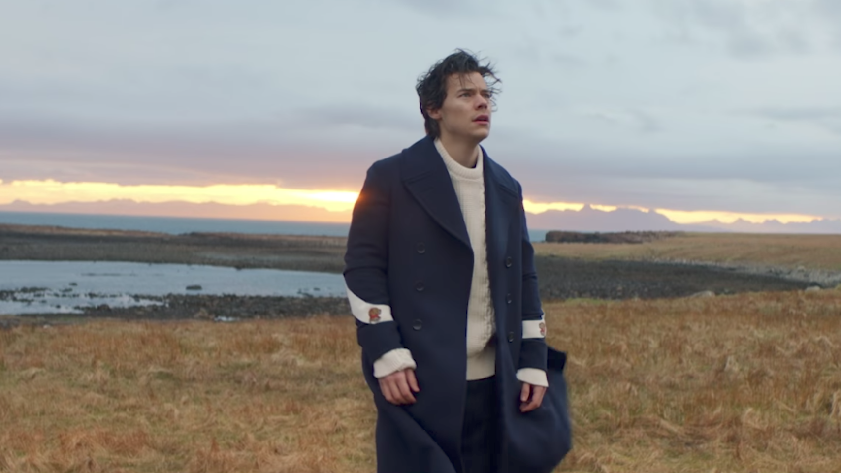 Capture from "Sign of the Times" music video of Harry standing in front of the sunset. 