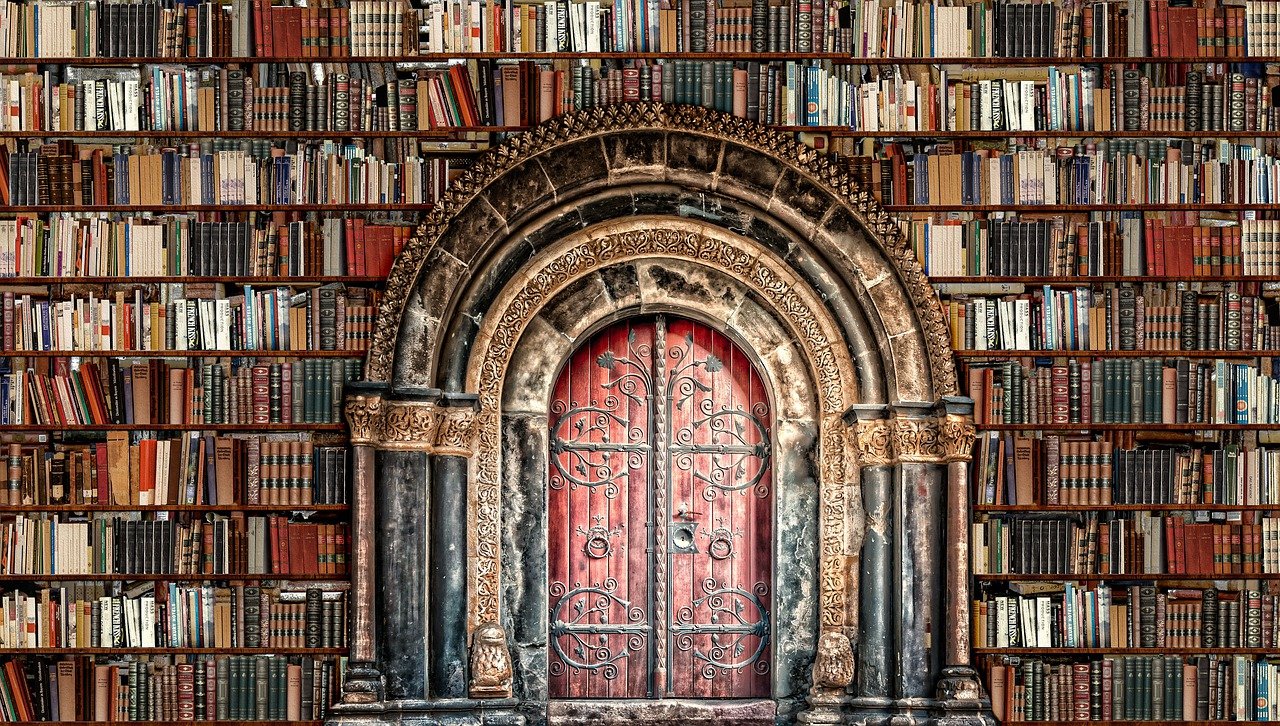 A pair of red doors sets amongst many rows of bookshelves.