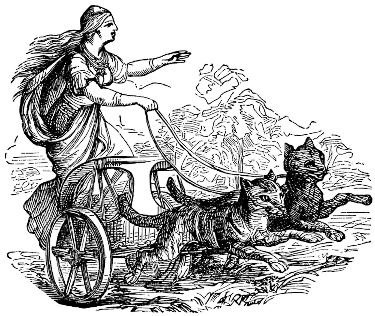 The goddess Freya is pulled in a chariot by two black cats. 