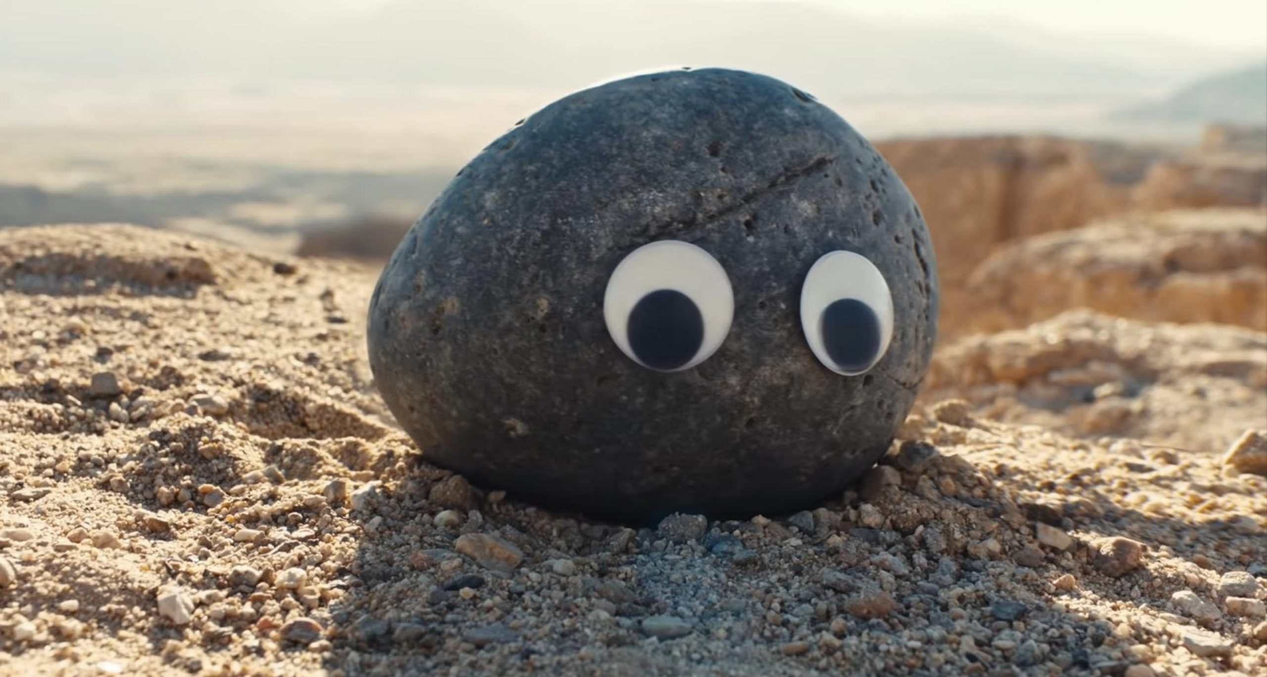 A rock with google-eyes sits in center frame, as if looking at the camera.