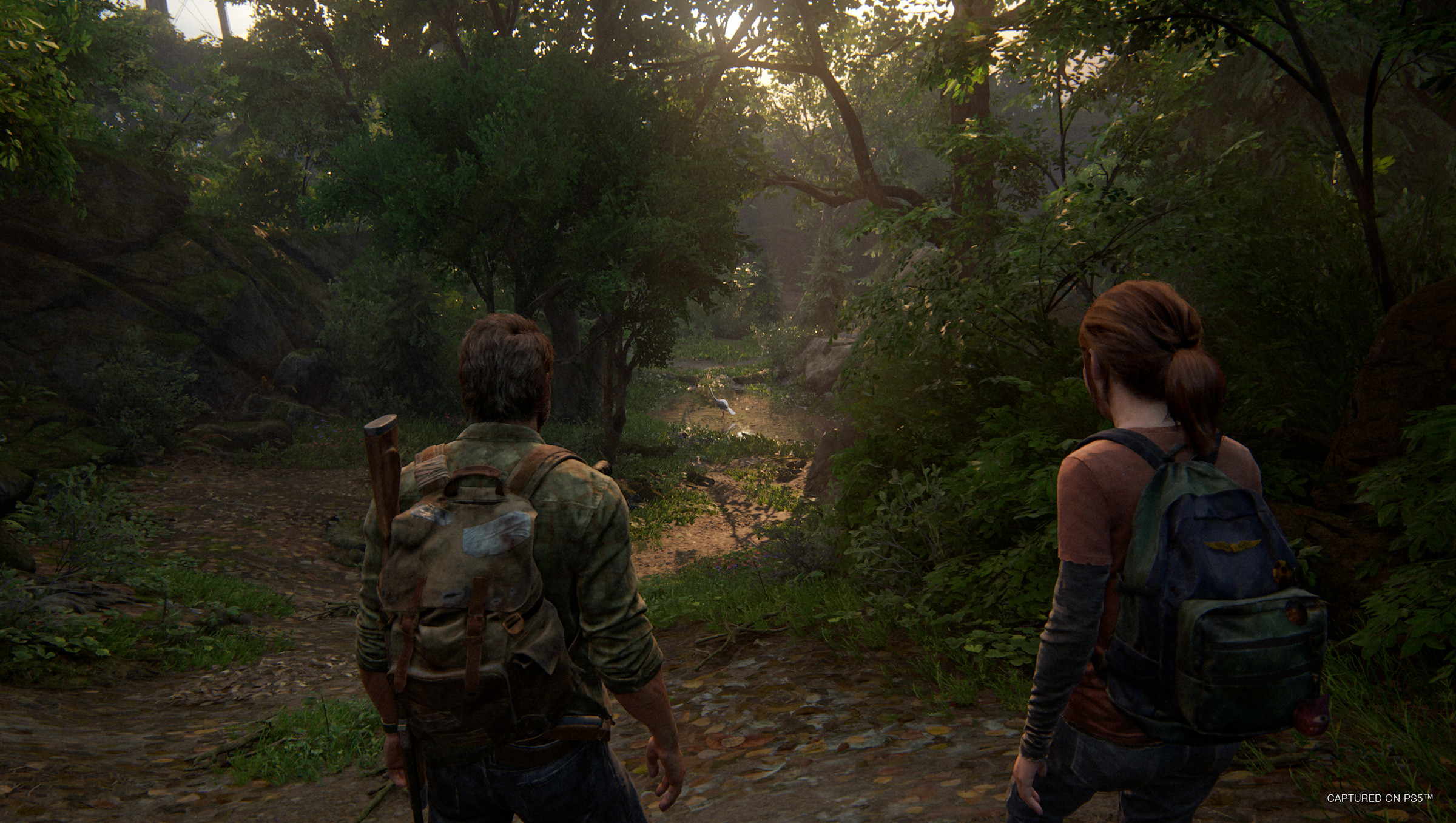 "The Last Of Us." Naughty Dog. 2013.