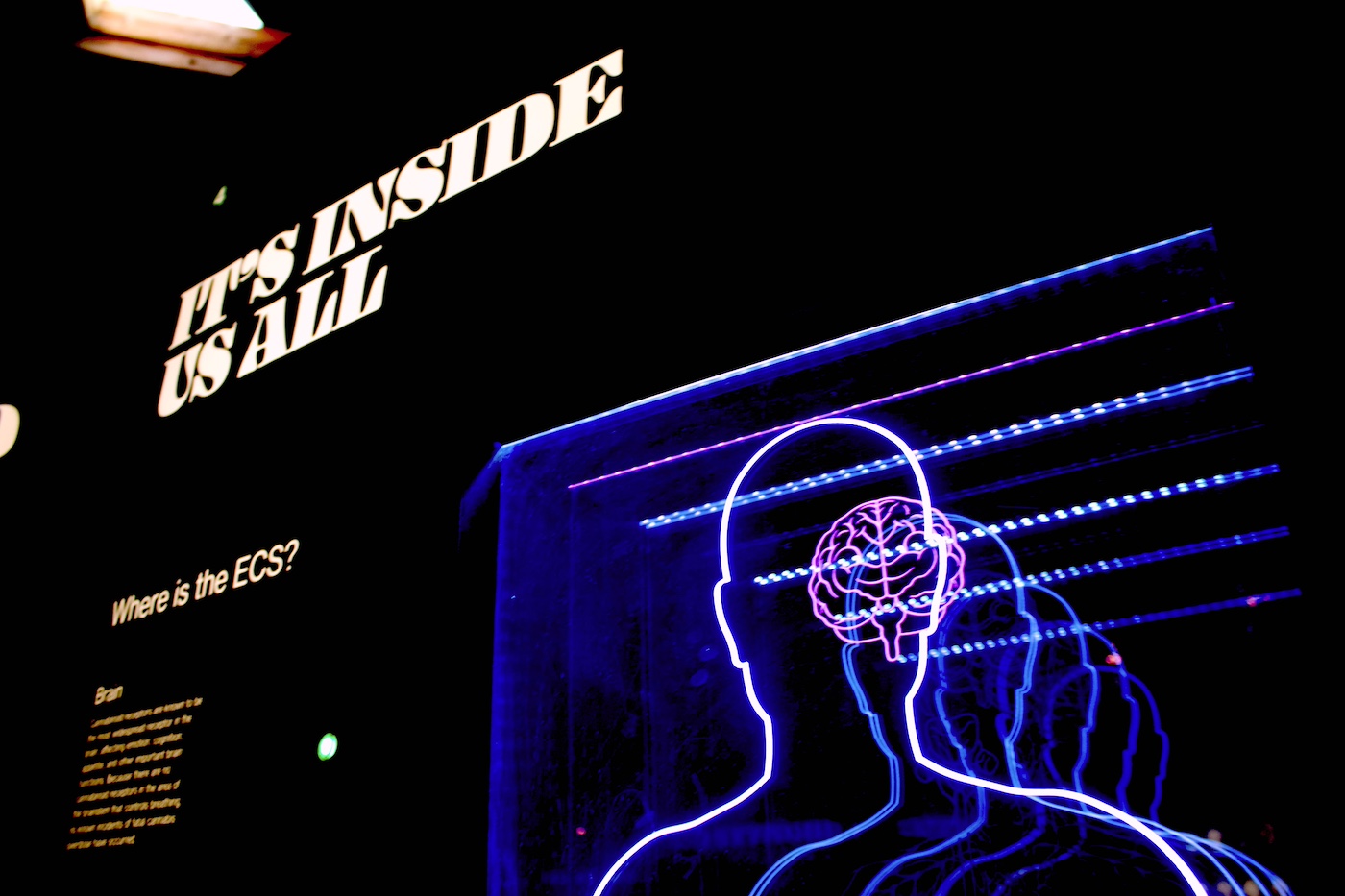 A neon display of a human head and brain. Bold white text on the display reads, "It's inside us all."