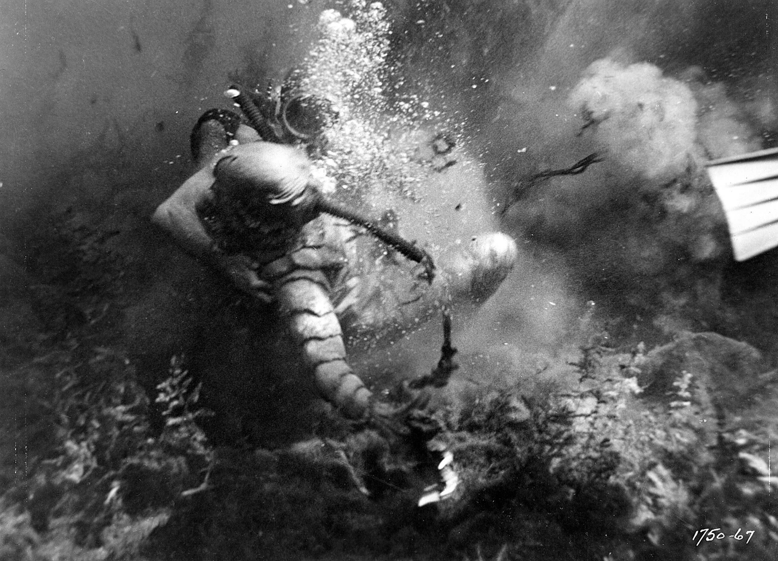 "Monsters." Arnold, Jack. Creature from the Black Lagoon. Universal Pictures. 1954.