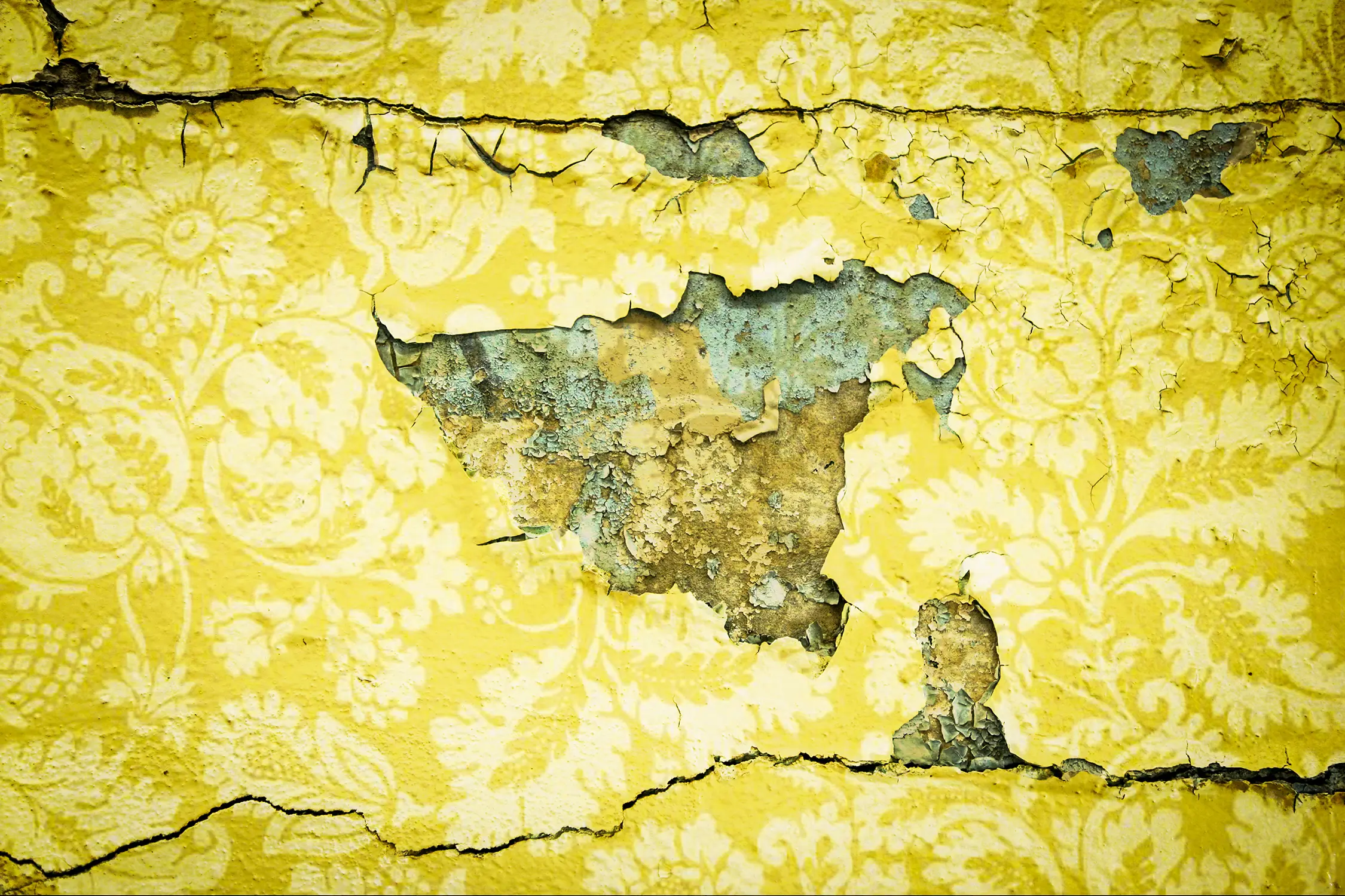 Matsuura, Thersa. “The Yellow Wallpaper By Charlotte Perkins Gilman.” Thersa Matsuura, 21 Mar. 2021.