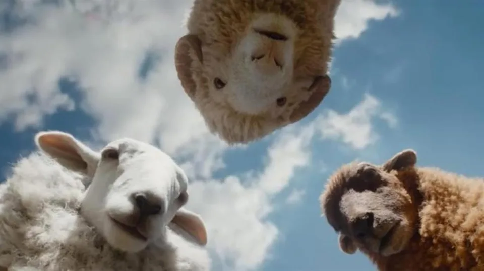 Three sheep -- Cloud, Mopple, and Lily -- staring down at the camera, with the sky and clouds behind them.