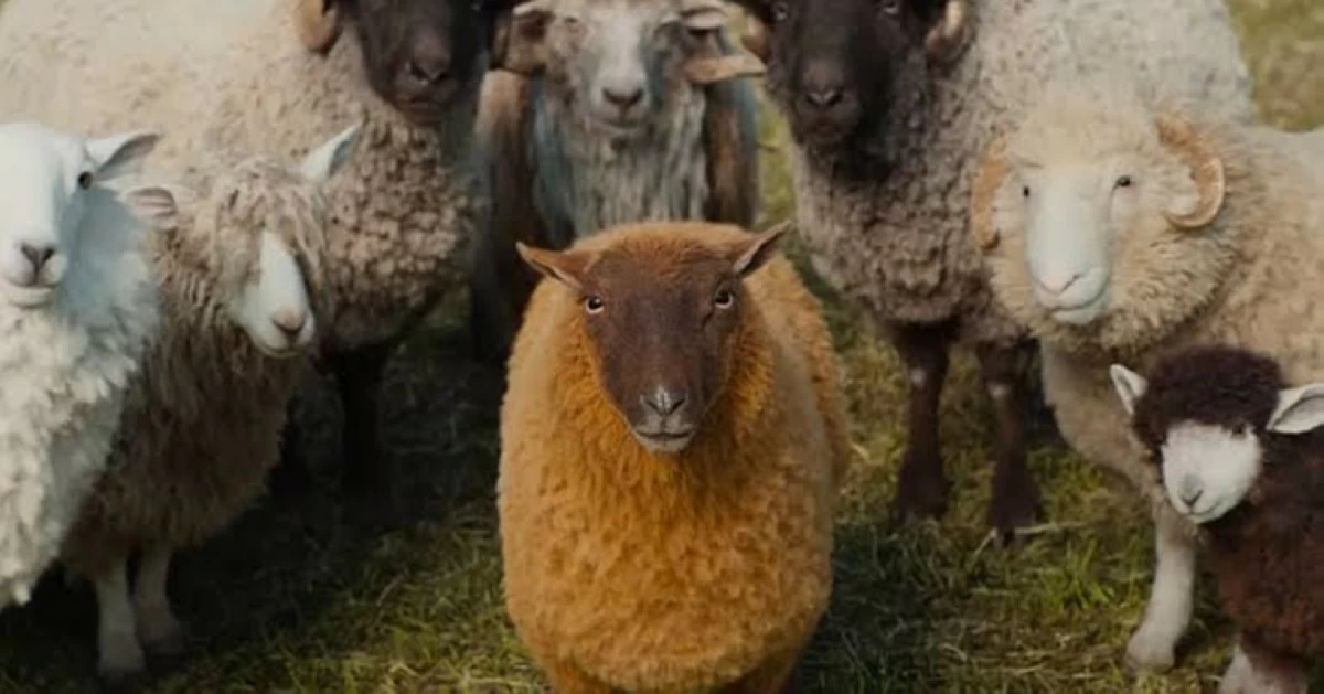 A group of sheep from The Sheep Detectives standing around one another. Lily is the focal point, with seven sheep behind her.
