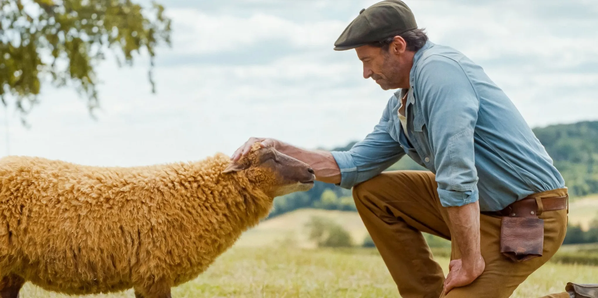 Shepherd George from The Sheep Detectives crouching down in front of sheep Lily, petting her head.
