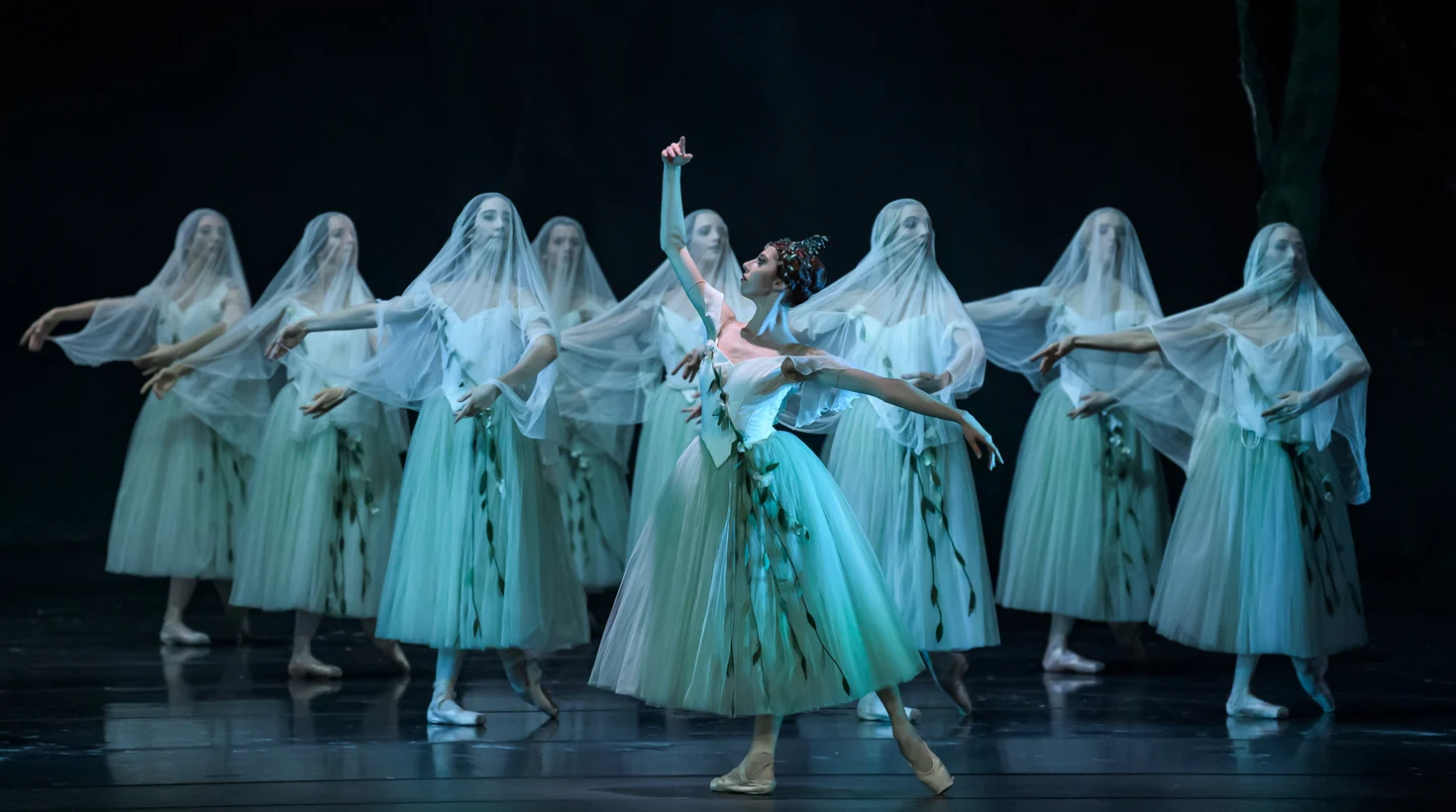 Giselle ballet production. Lead ballerina has her arms in fourth and is positioned in front of a group of ballerinas with veils over their faces.