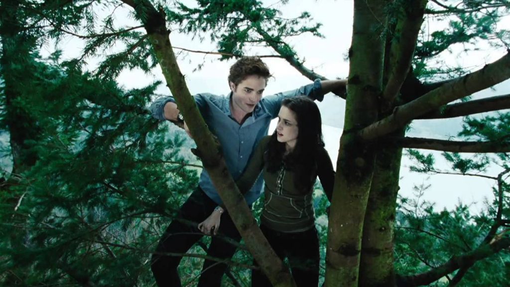 Catherine, Hardwicke, dir. Twilight, Lionsgate, 2008.