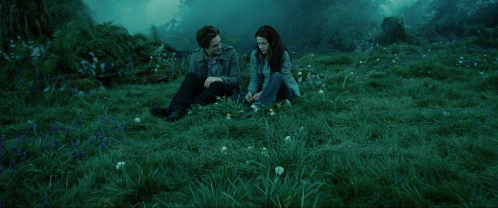 Catherine, Hardwicke, dir. Twilight, Lionsgate, 2008.