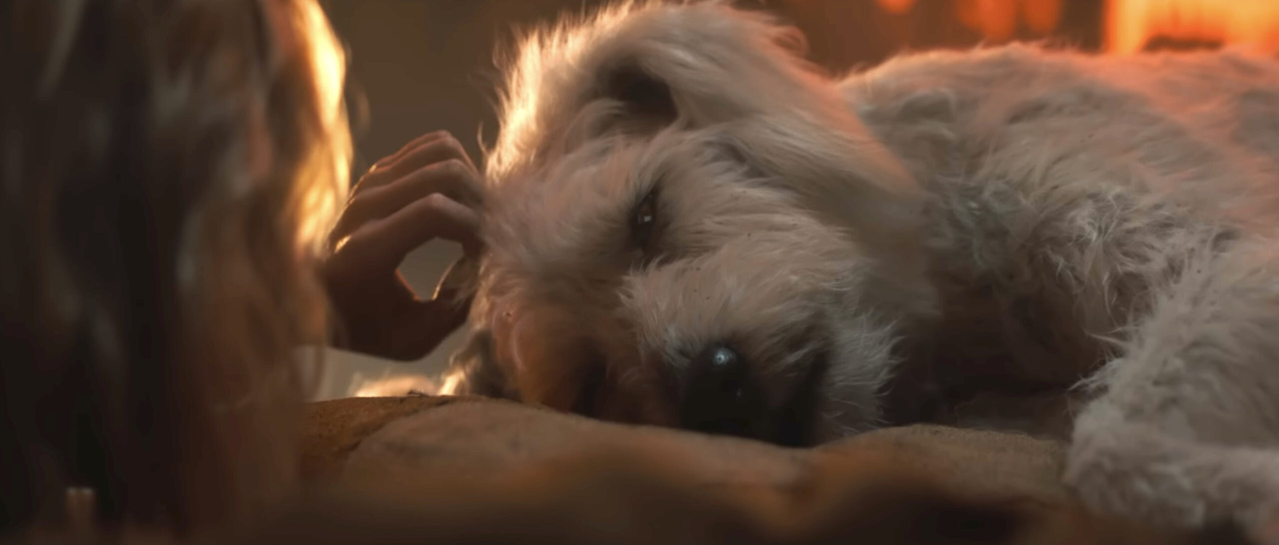 Kara pets Krypto's head as he lays weak in a bed. Gillespie, Craig. Supergirl. DC Studios, 2026.