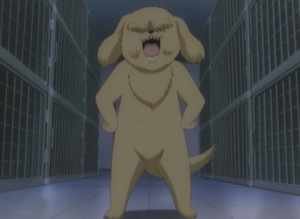 Kintarou laughs as he is freed from captivity.