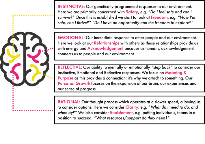 Neuroscience brain quadrants cultural assessment