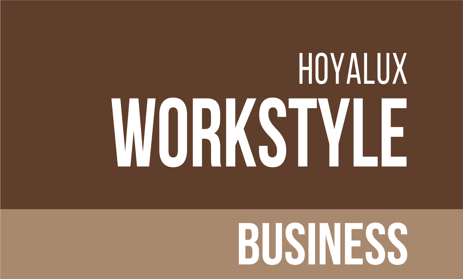 Hoyalux WorkStyle Business