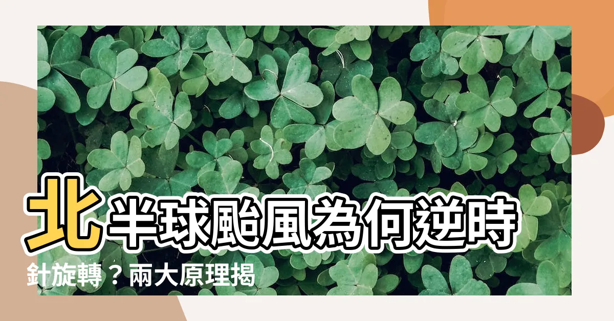 【北半球台風 逆時針】北半球颱風為何逆時針旋轉？兩大原理揭曉！