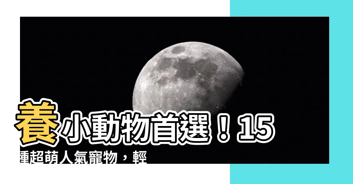 【養小動物推薦】養小動物首選！15種超萌人氣寵物，輕鬆陪你度過每一天