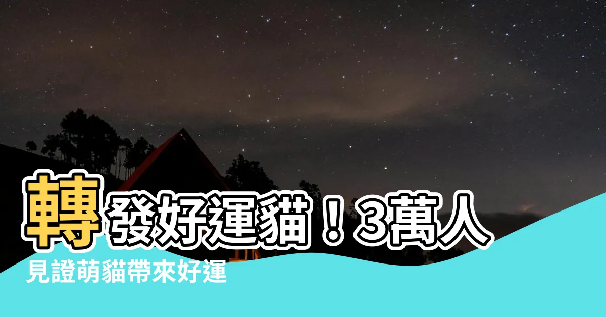 【轉發好運貓】轉發好運貓！3萬人見證萌貓帶來好運