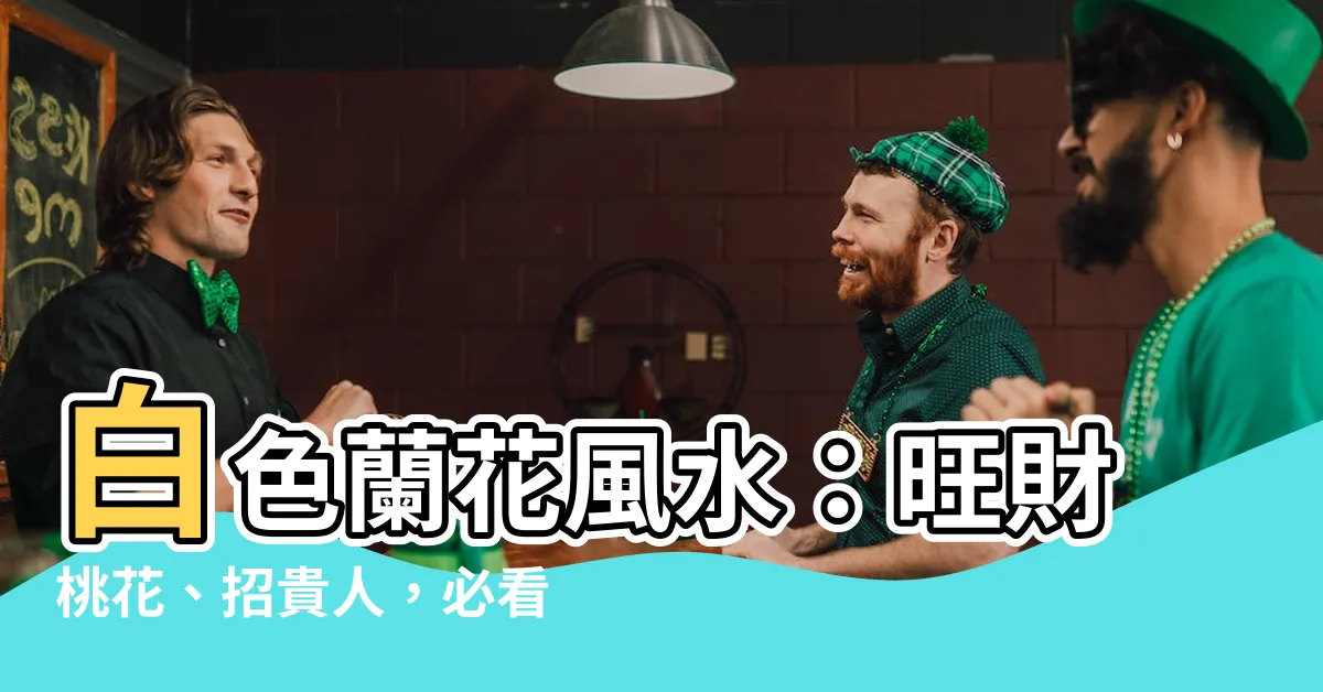 【白色蘭花風水】白色蘭花風水：旺財桃花、招貴人，必看禁忌種植須知