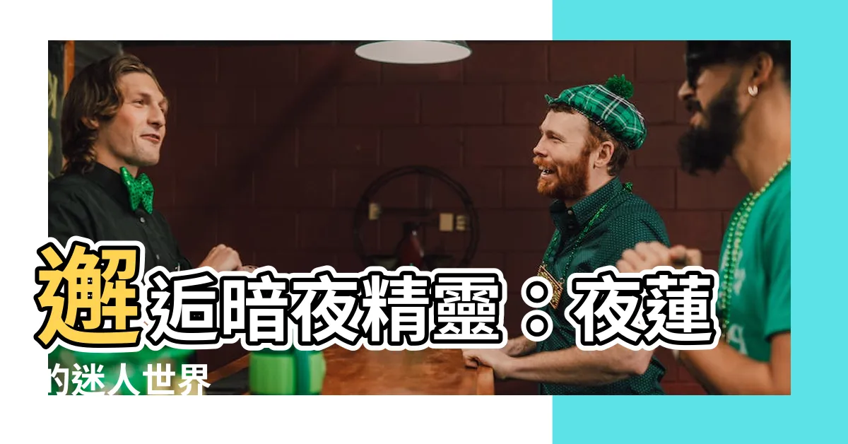 【夜蓮】邂逅暗夜精靈：夜蓮的迷人世界