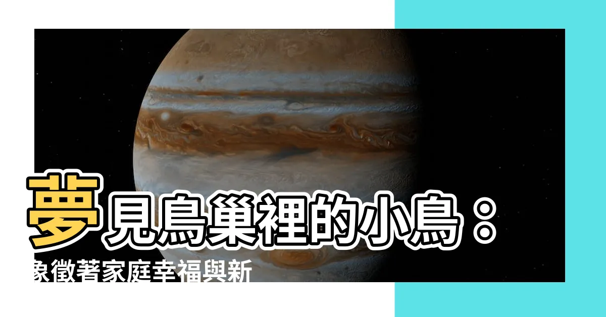 【夢見鳥巢有小鳥】夢見鳥巢裡的小鳥：象徵著家庭幸福與新生命的到來！