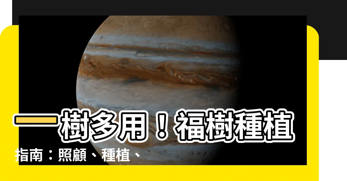 【福樹種植】一樹多用！福樹種植指南：照顧、種植、繁殖與開花期全解析