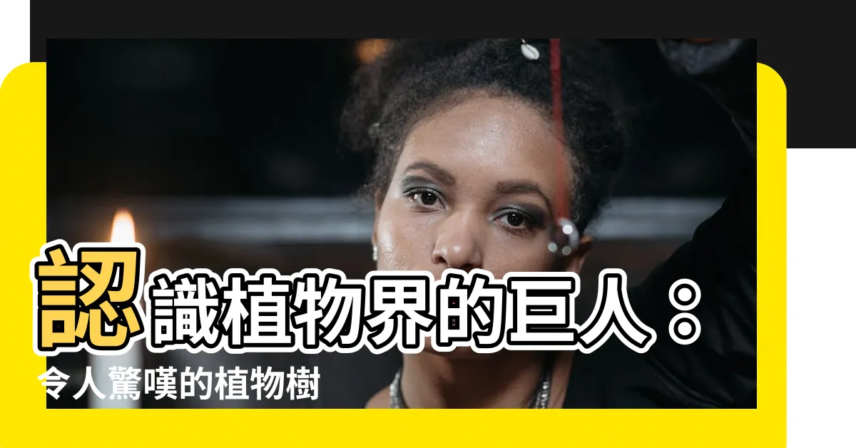 【植物樹】認識植物界的巨人：令人驚嘆的植物樹
