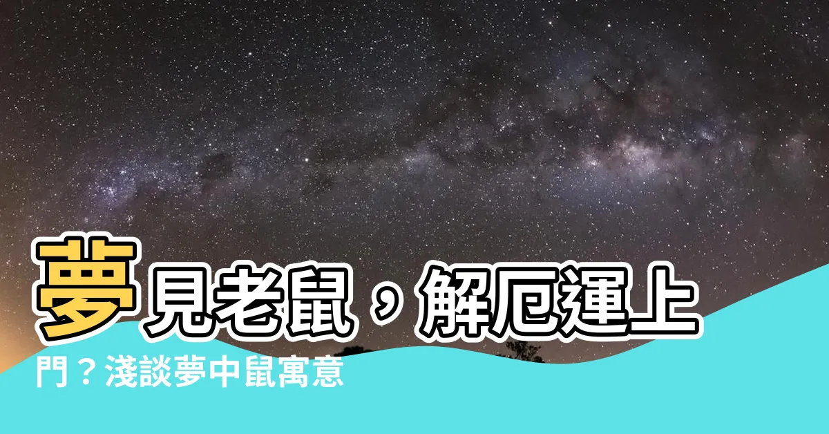 【老鼠 解夢】夢見老鼠，解厄運上門？淺談夢中鼠寓意