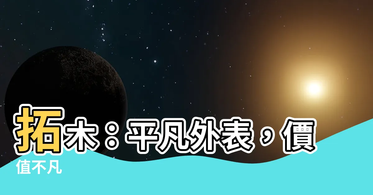 【拓木】拓木：平凡外表，價值不凡