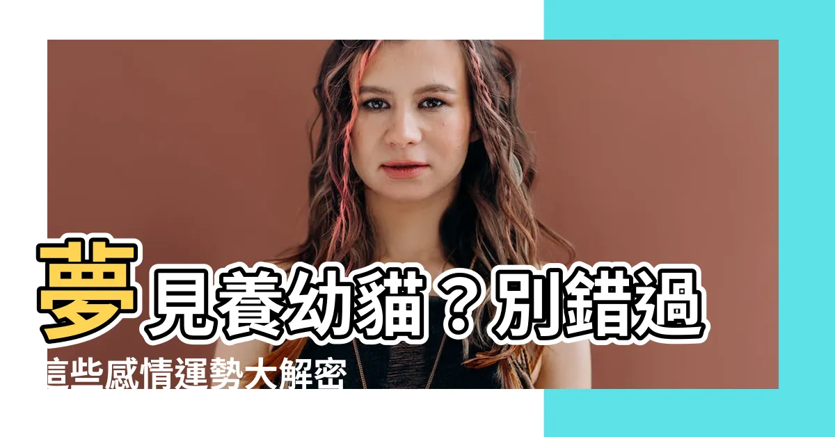 【夢見養幼貓】夢見養幼貓？別錯過這些感情運勢大解密！