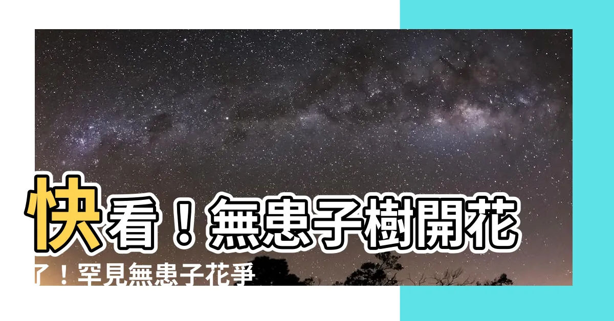 【無患子花】快看！無患子樹開花了！罕見無患子花爭豔，打造夢幻紫
