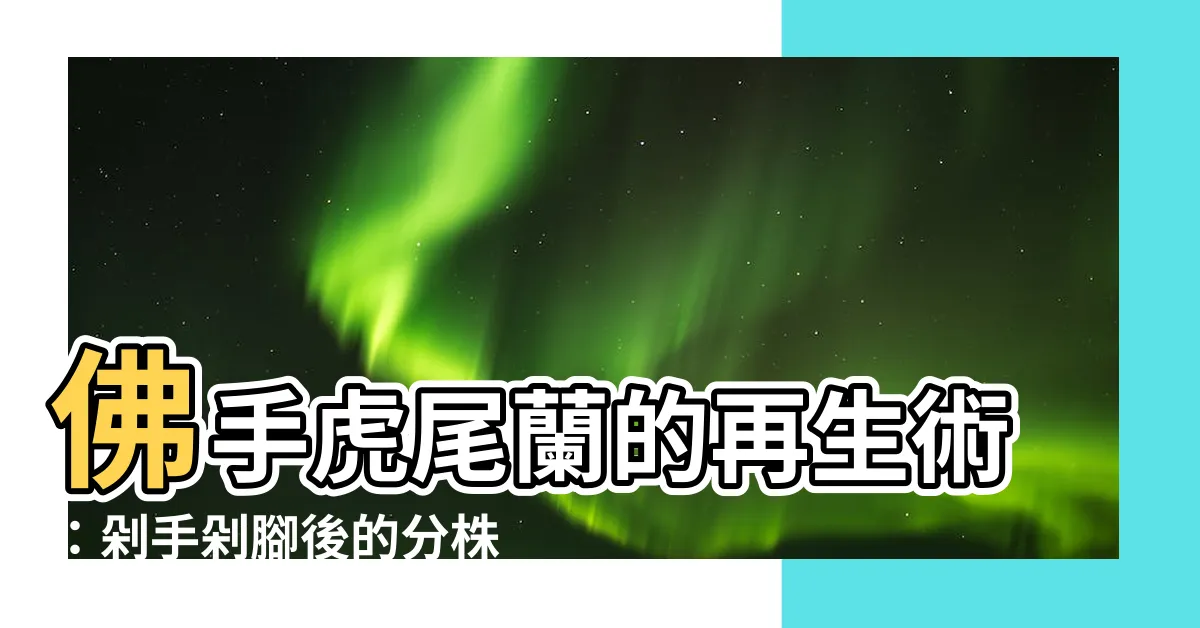 【佛手虎尾蘭分株】佛手虎尾蘭的再生術：剁手剁腳後的分株絕技