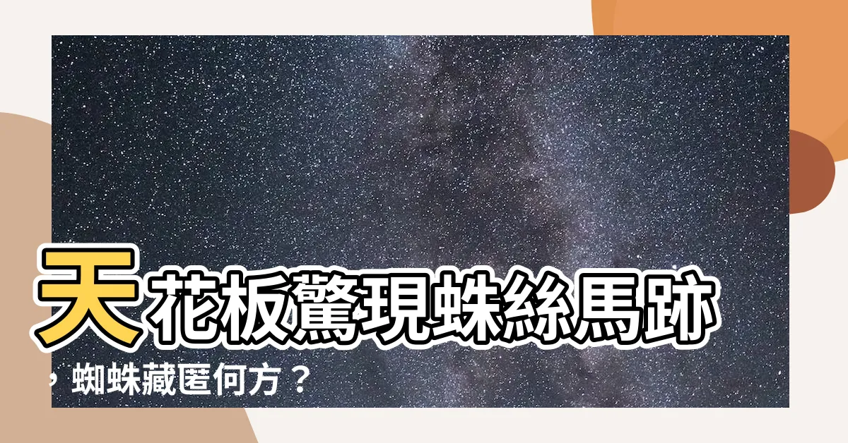 【天花板有蜘蛛】天花板驚現蛛絲馬跡，蜘蛛藏匿何方？