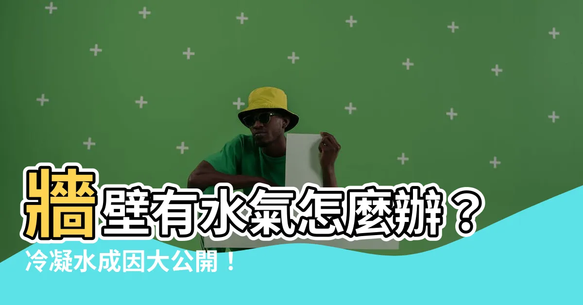 【牆壁有水氣】牆壁有水氣怎麼辦？冷凝水成因大公開！