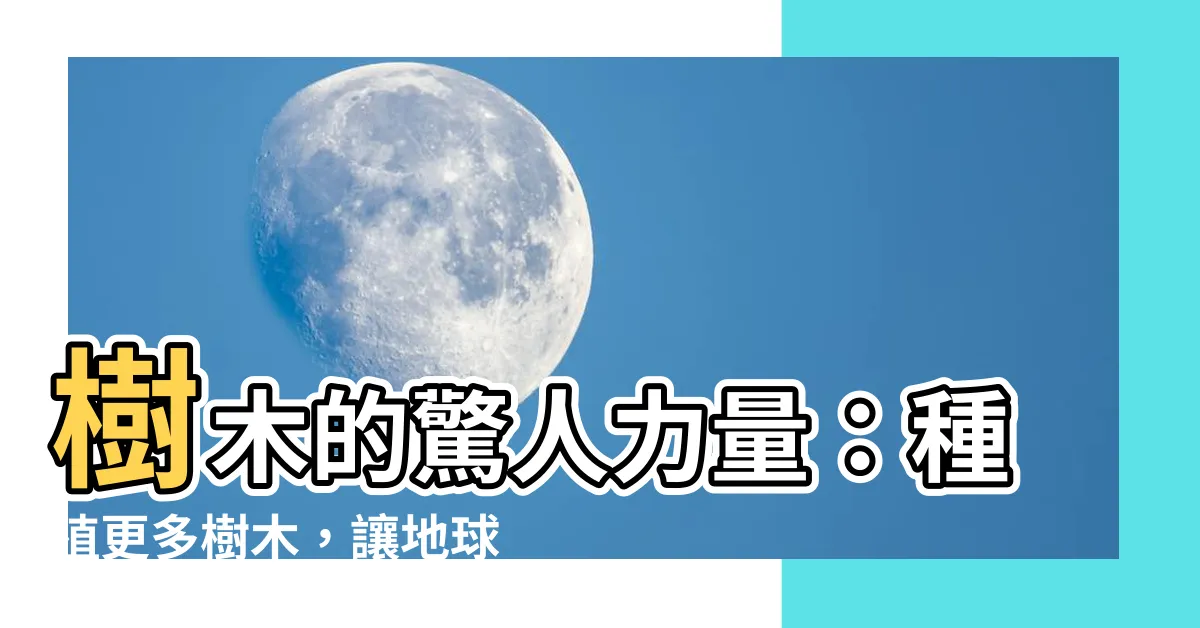 【樹木的作用】樹木的驚人力量：種植更多樹木，讓地球更加美好
