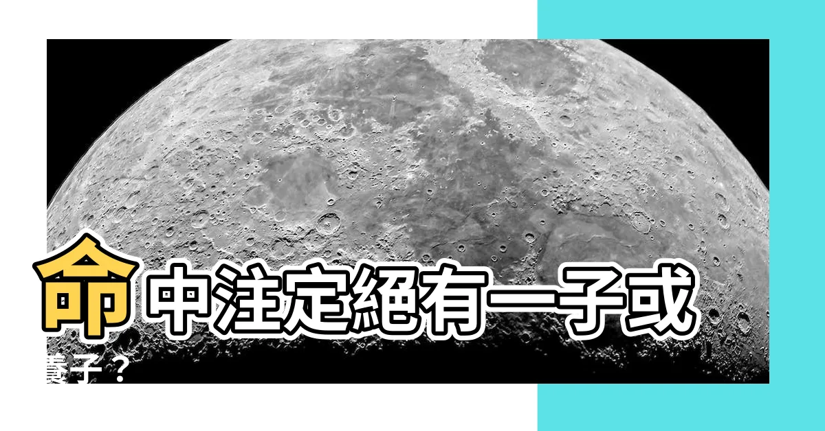 【絕有一子或養子】命中註定絕有一子或養子？