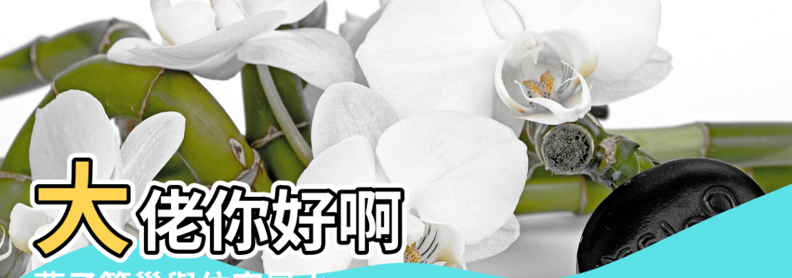 【燕子築巢與住宅風水】大佬你好啊 |燕子築巢與住宅風水 |小心破壞你的好運 |