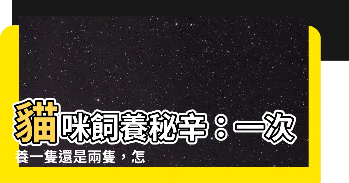 【貓要養幾隻】貓咪飼養秘辛：一次養一隻還是兩隻，怎樣養才好？