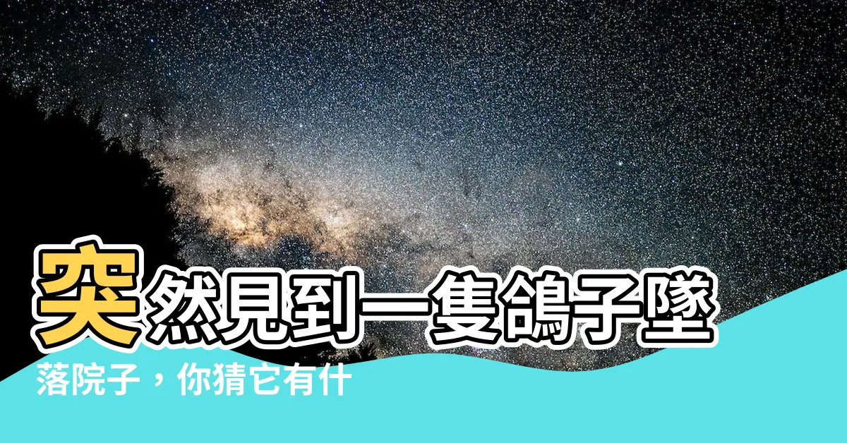 【死掉的鴿子】突然見到一隻鴿子墜落院子，你猜它有什麼特殊預兆？