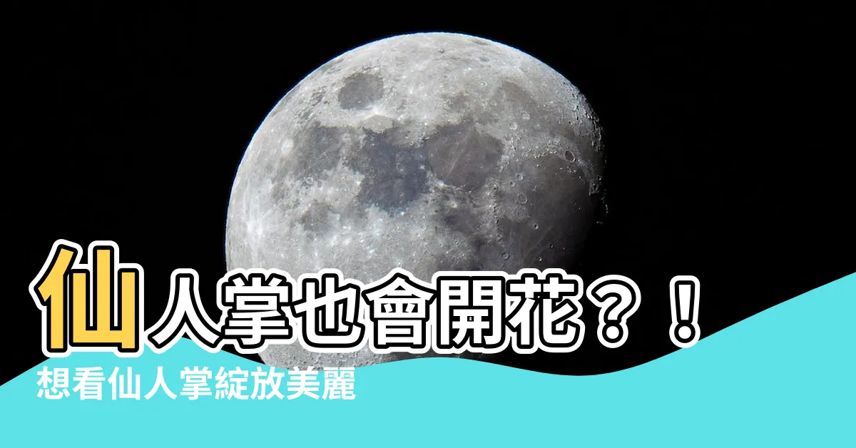 【仙人掌會開花嗎】仙人掌也會開花？！想看仙人掌綻放美麗花朵？3個重點一次學會