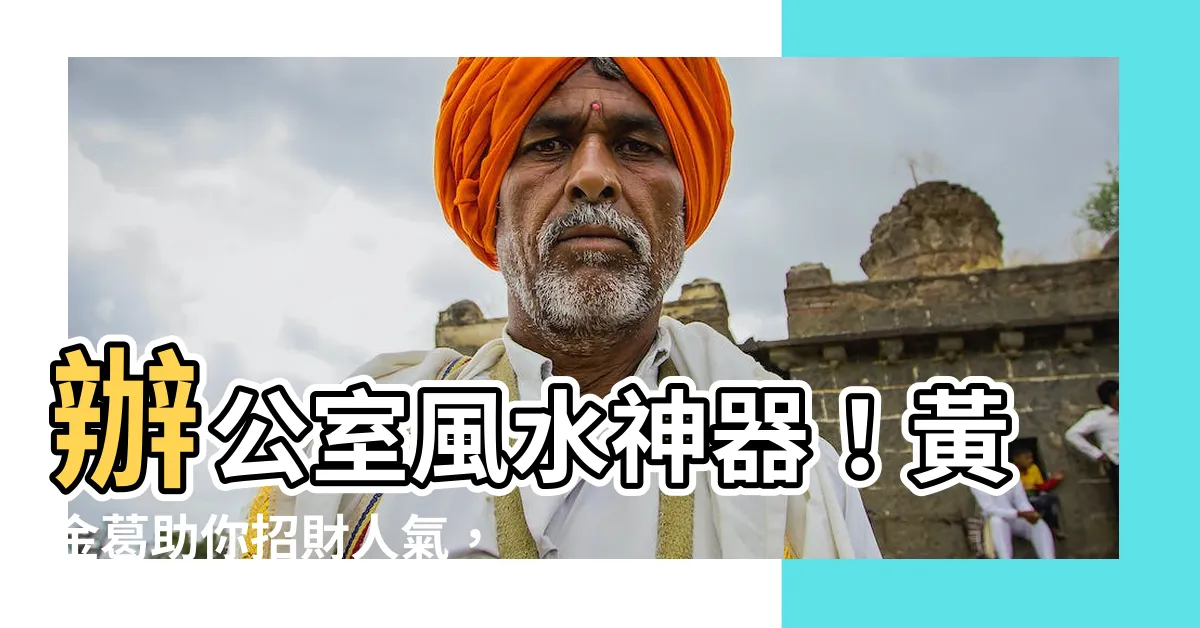 【黃金葛風水辦公室】辦公室風水神器！黃金葛助你招財人氣，營造好運工作環境